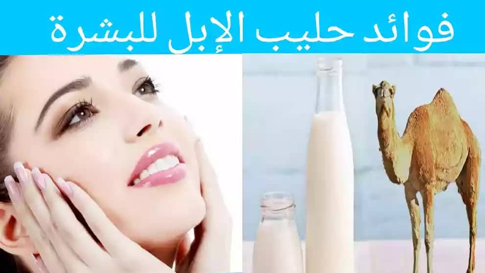 ما هي فوائد حليب الإبل للبشرة